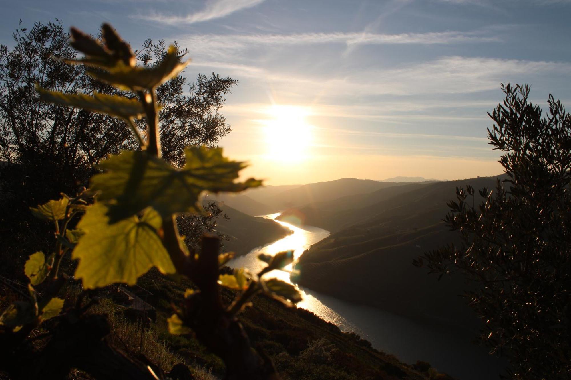 فيلا Socalcos Do Douro House Valença do Douro المظهر الخارجي الصورة